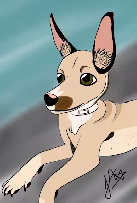 Pet 2