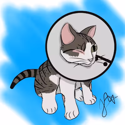 Pet 3